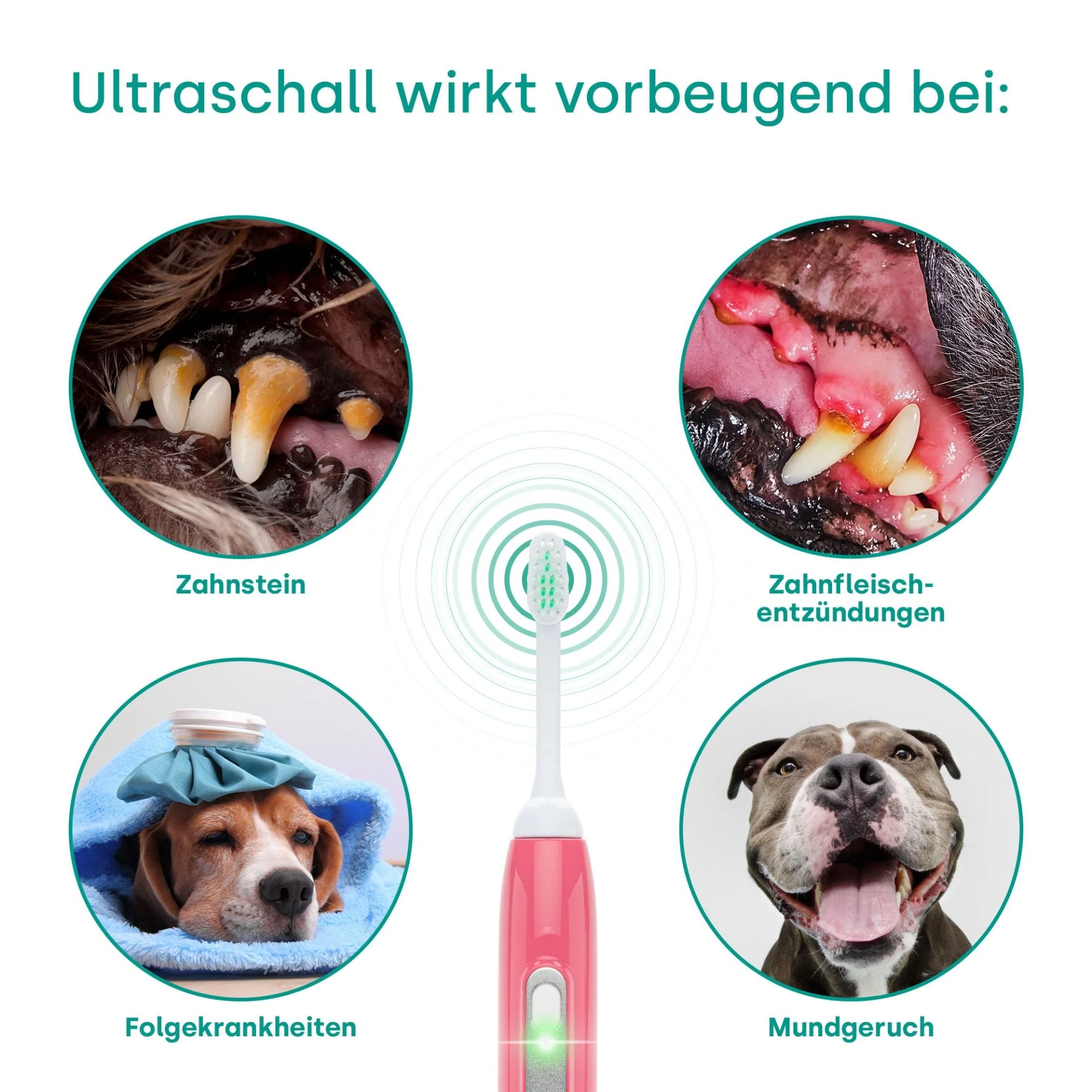 Vorschaubild 7